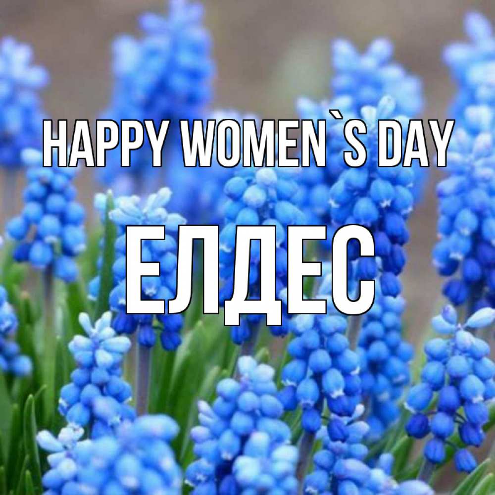 Greetings card с именем, Елдес happy women`s day Поздравительная открытка для женщин с цветами на праздничную дату Greetings with text for free download 
